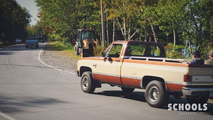 Brown/tan two-tone